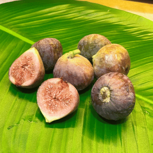 Renu Dalal blogs